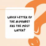 117 Best Riddles for Kids (With Answers)