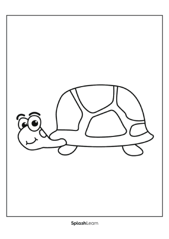 Turtle coloring page