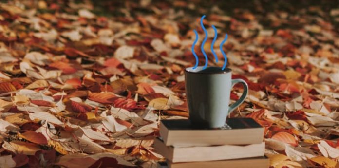 Best fall quotes & Instagram captions