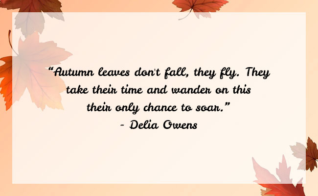 80+ Best Fall Quotes & Beautiful Sayings About Autumn