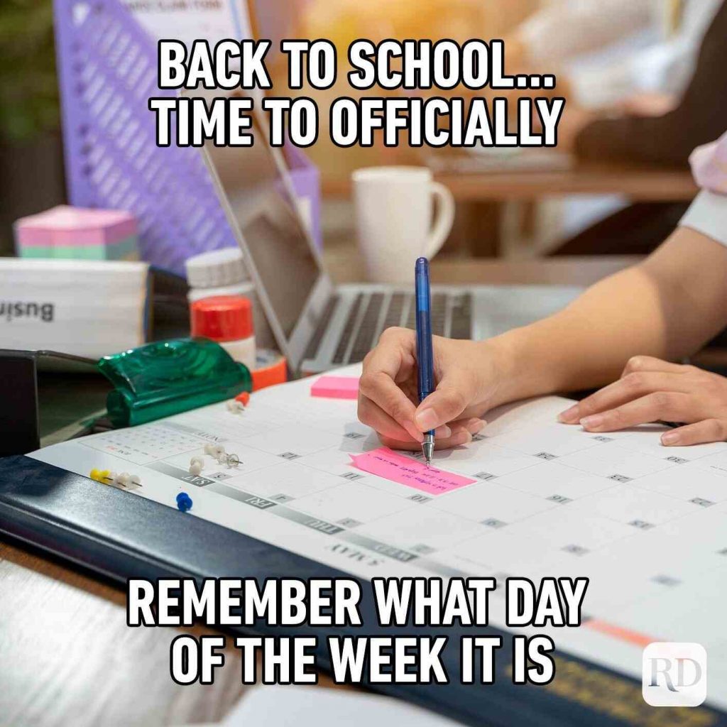 25 Funny School Memes Every Student Will Love 2023 