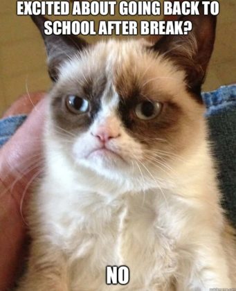 45 Funny School Memes Every Student Will Love