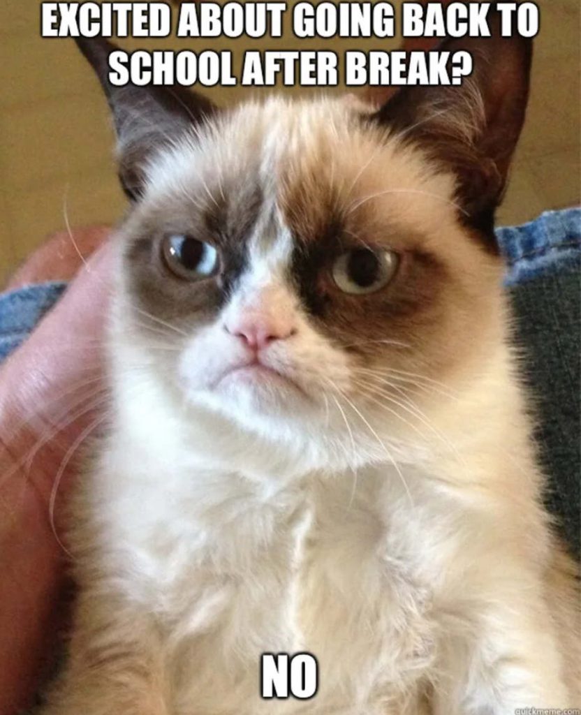 20 Funny School Memes For Students Sayingimages Com S - vrogue.co