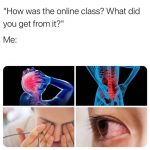 Online classes consequences school memes