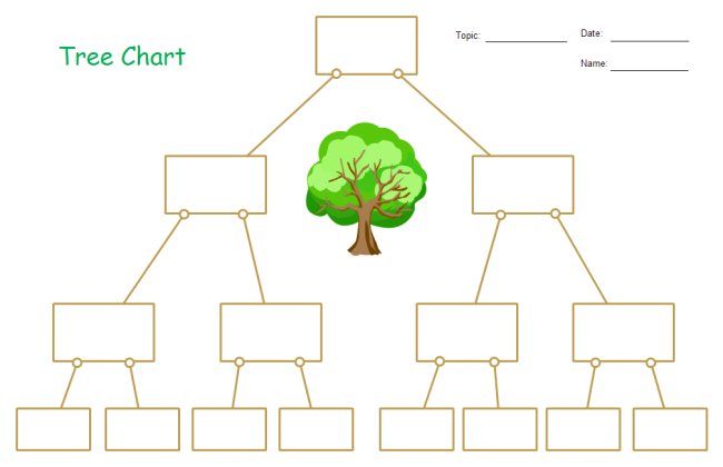 Tree Chart graphic organizer