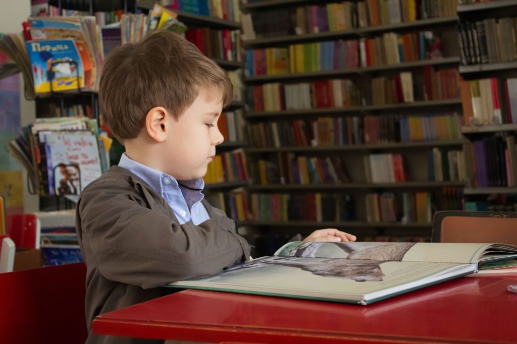 Boy reading a book in a library or bookstore