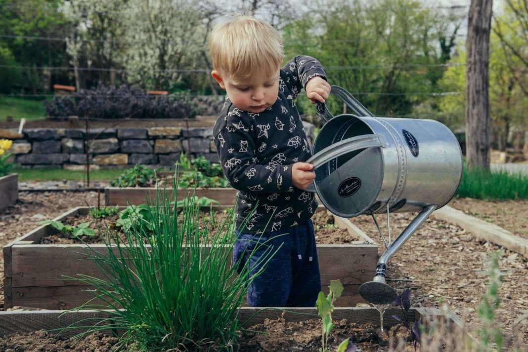 Little boy watering plants