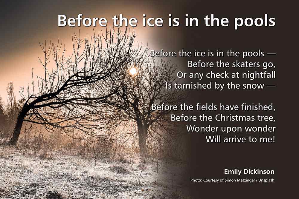 Before the ice in the pools poem