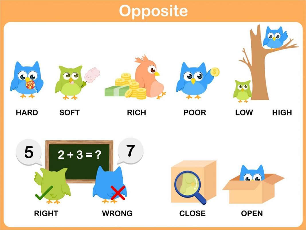 Vector graphics of opposite words