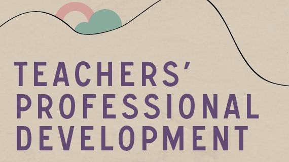 Teach professional development written