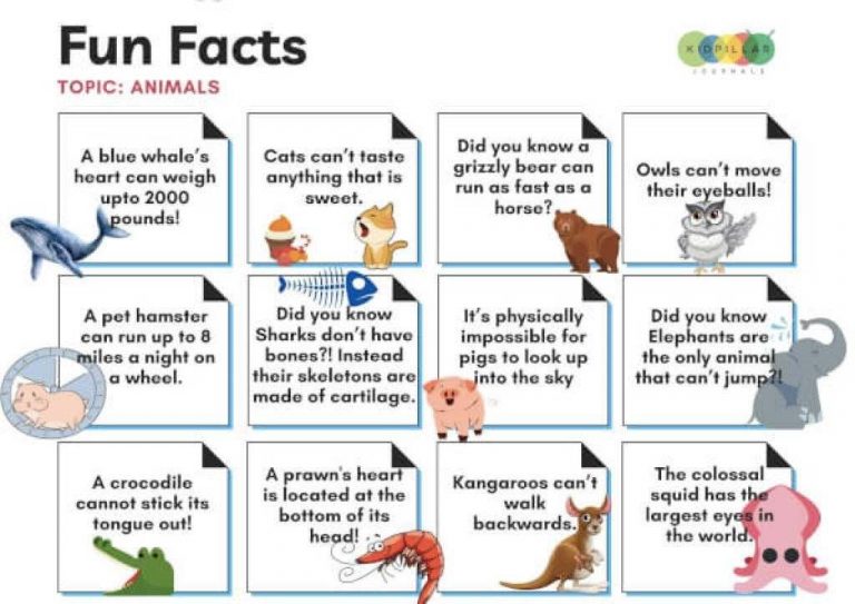 60 Fun Animal Facts for Kids