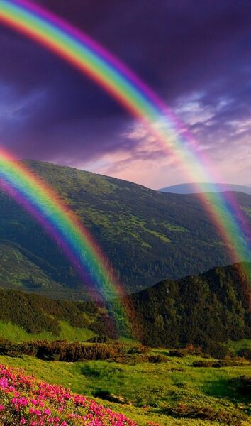 image of double rainbow