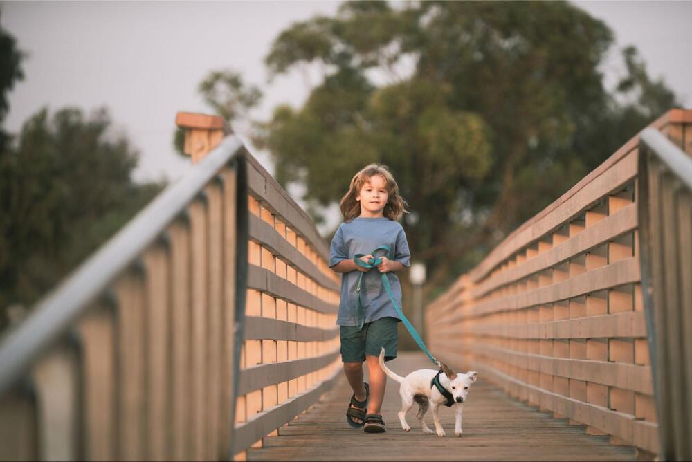 Little girl on walk with a puppy