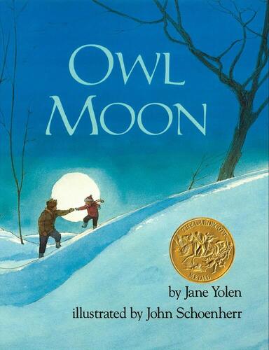 Image of Children's Book - Owl Moon 