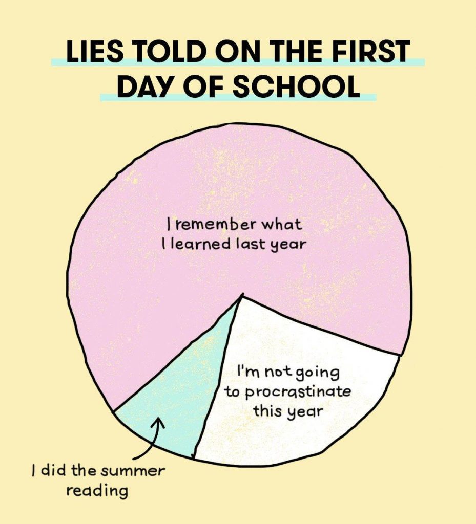 Pie chart of school lies