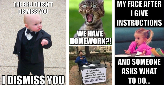 funny School memes