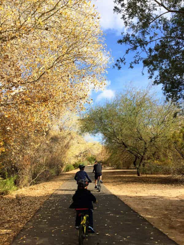 Kids on bicycles