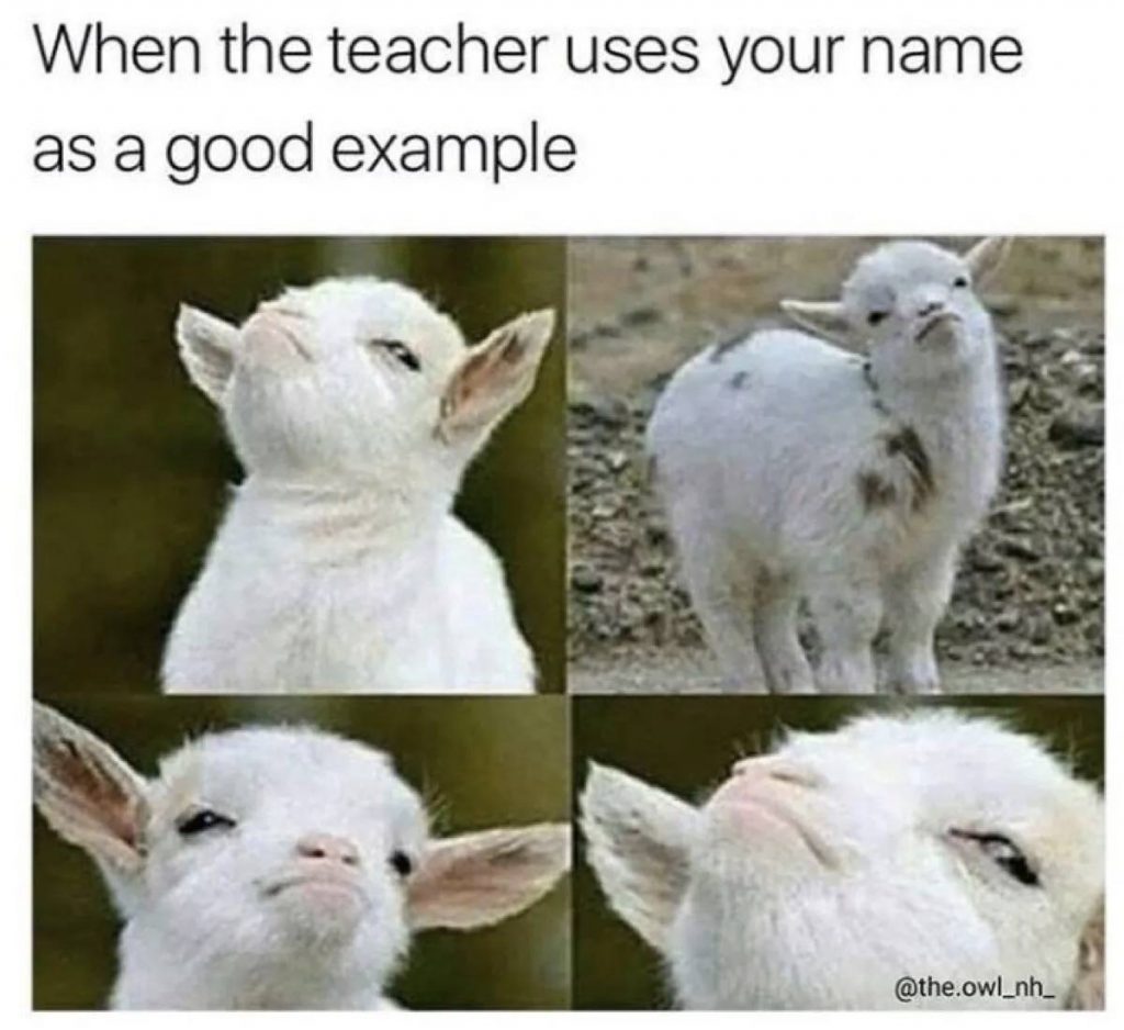 Proud goat meme