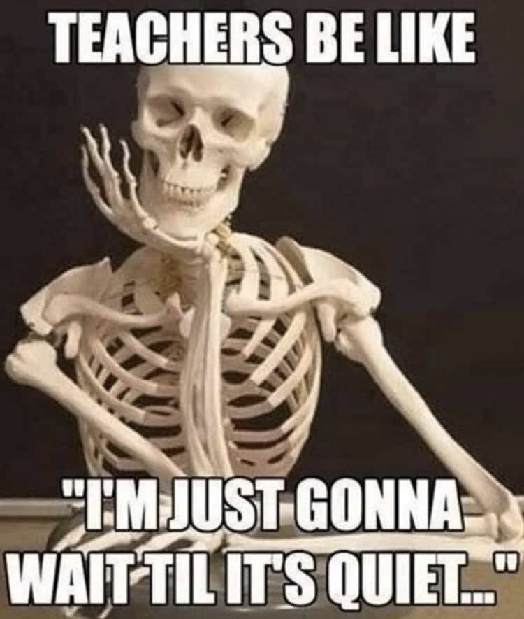 Skeleton teacher waiting
