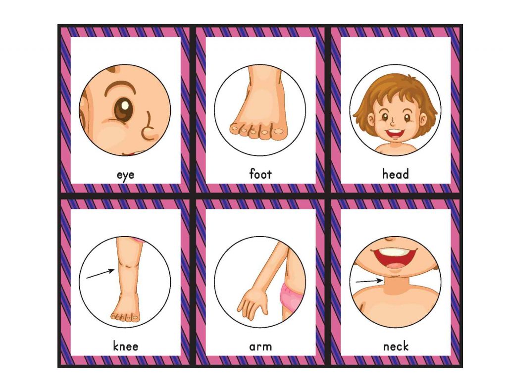 Body part bingo