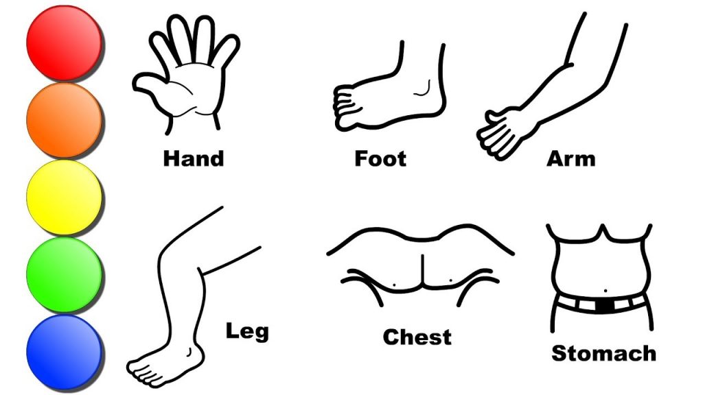 Body parts