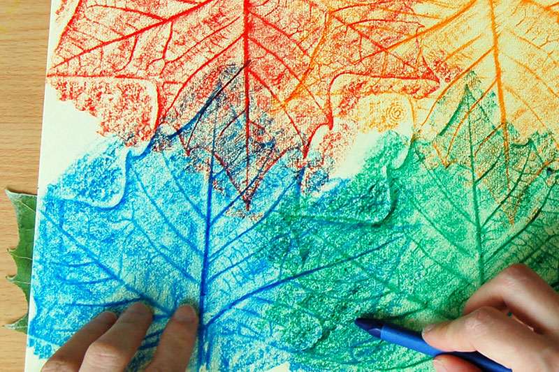 Kid coloring leaves