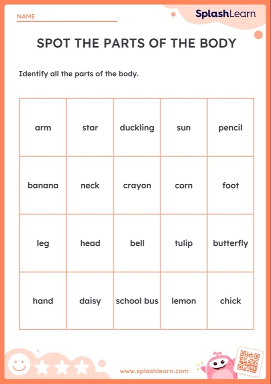 Body part worksheet