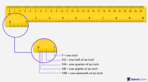 What is Ruler? Definition, Types, Examples, Facts