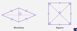 Rhombus - Definition, Angles, Properties, Formulas, Examples