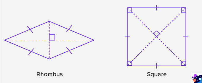 rhombus properties for kids