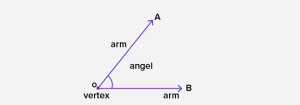 What is Vertex? Meaning, Definition, Examples, Properties, Facts