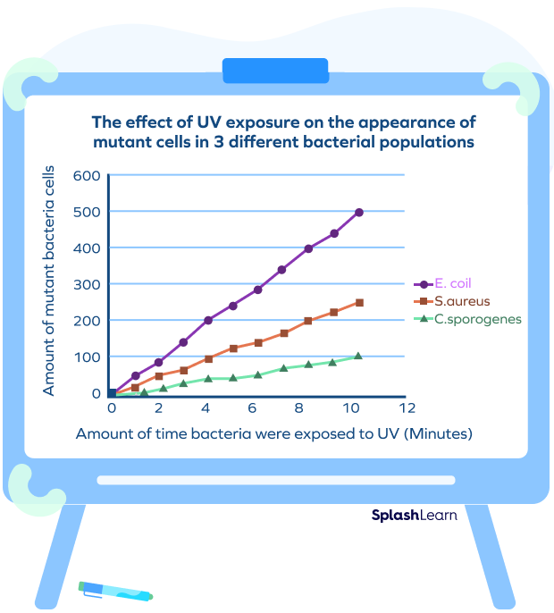 Picture Of A Line Graph Infoupdate