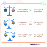 What is Measurement? Definition, Types, Scale, Units, Examples