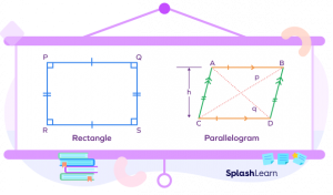 Difference Between Rectangle and Parallelogram: Chart & Examples