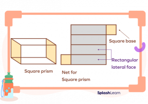 Square Prism Definition Types Properties Formulas Examples