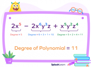 Degree of a Polynomial: Definition, Types, Examples, Facts