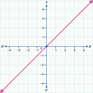 Identity Function: Definition, Graph, Examples, Facts