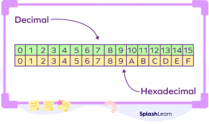 How To Convert Binary To Hexadecimal? Conversion, Examples