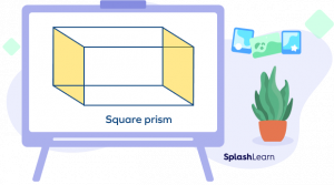 Square Prism Definition Types Properties Formulas Examples