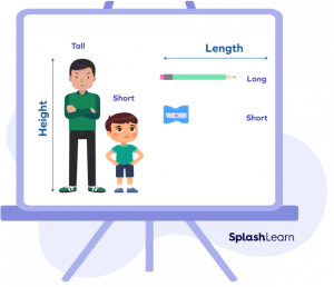 What is Measurement? Definition, Types, Scale, Units, Examples